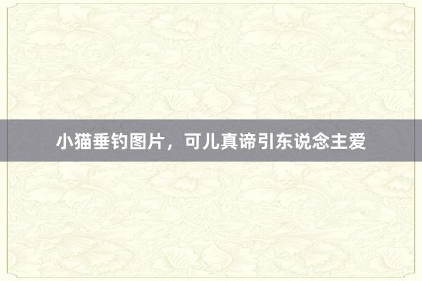 小猫垂钓图片，可儿真谛引东说念主爱